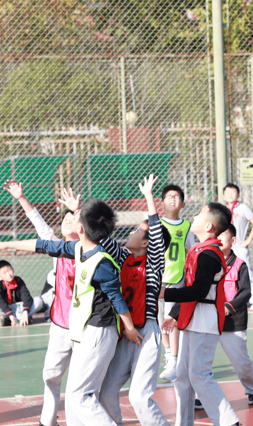 TL观众热烈欢呼！，Scout迎来三赛季出色发挥气势如虹延续的简单介绍
