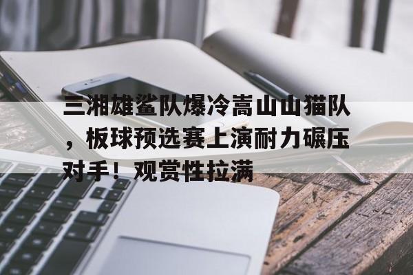 关于三湘雄鲨队爆冷嵩山山猫队，板球预选赛上演耐力碾压对手！观赏性拉满的信息九游体育注册